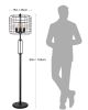 65"H BLACK INDUSTRIAL WIRE CAGE FLOOR LAMP W/ EDISON BULB(1PCS/CNT)(4.88/24.68)