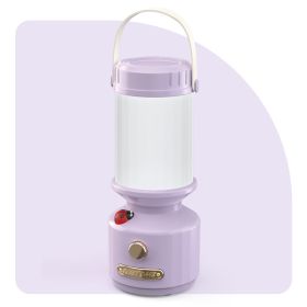 Creative Bedside Lamp Bedroom Rechargeable Sleeping Led Ladybug Simple Camping Night Light (Option: 2W-Purple-USB)